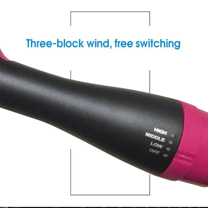 Professional electric hair dryer